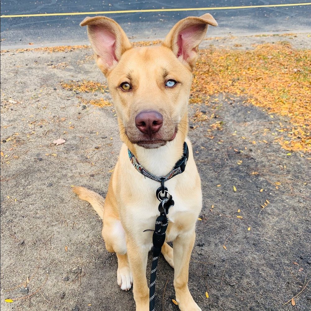 Meet your Posher, Daniela